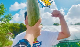 网红吃瓜爆料有谁,揭秘娱乐圈最新吃瓜大事件！